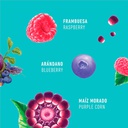 Conciencia Chocolate Vital 70 gr