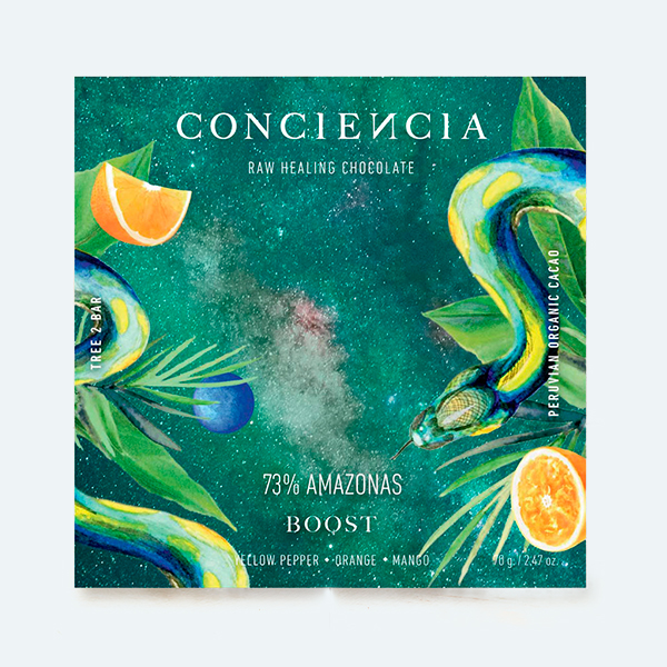 Conciencia Chocolate Boost 70 gr