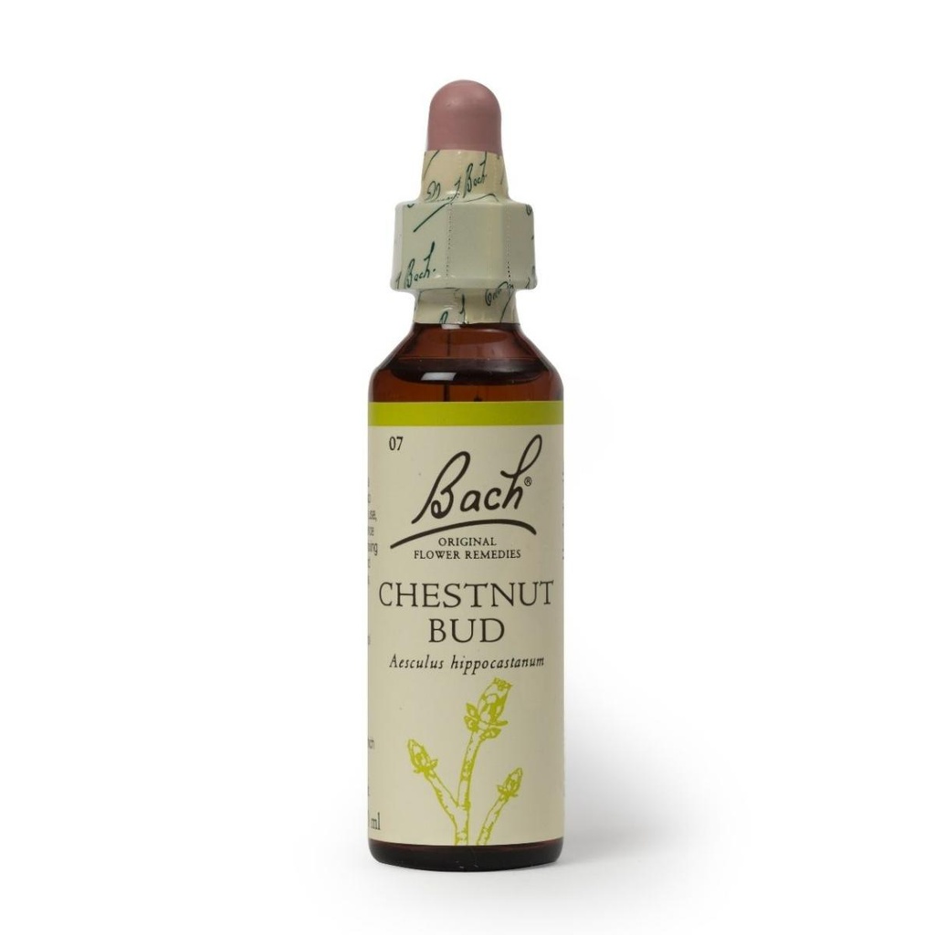 Hana Chestnut Bud 20ml