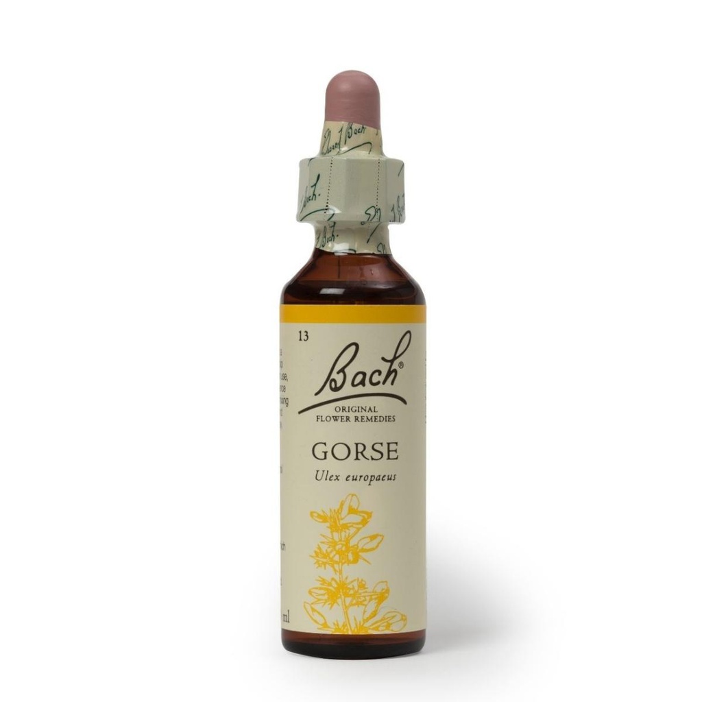 Hana Gorse 20ml