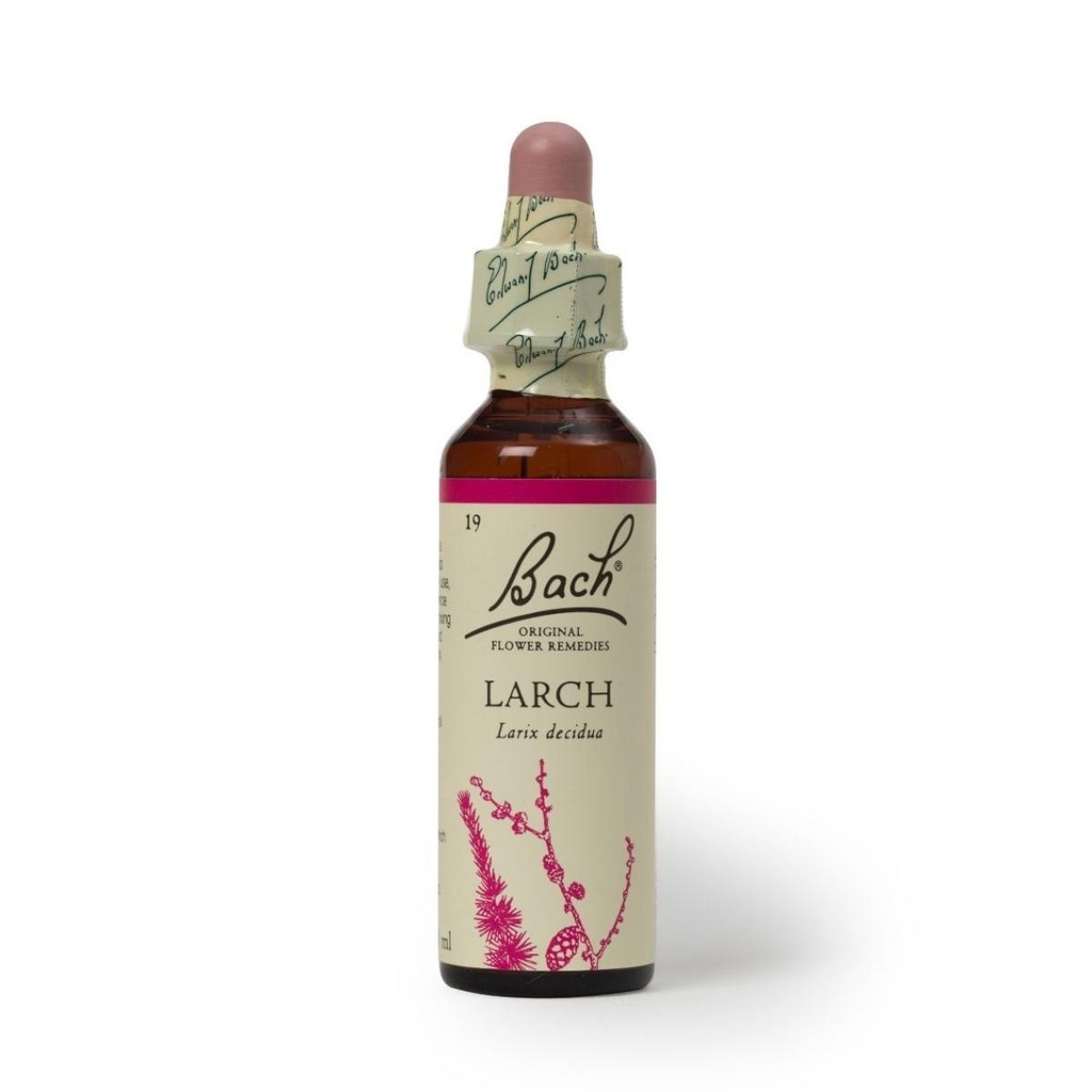 Hana Larch 20ml