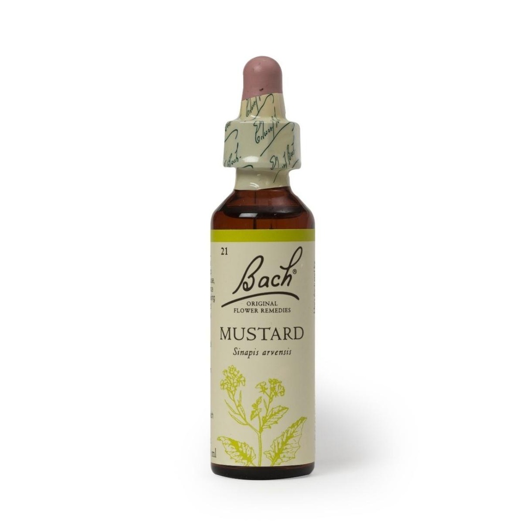 Hana Mustard 20ml
