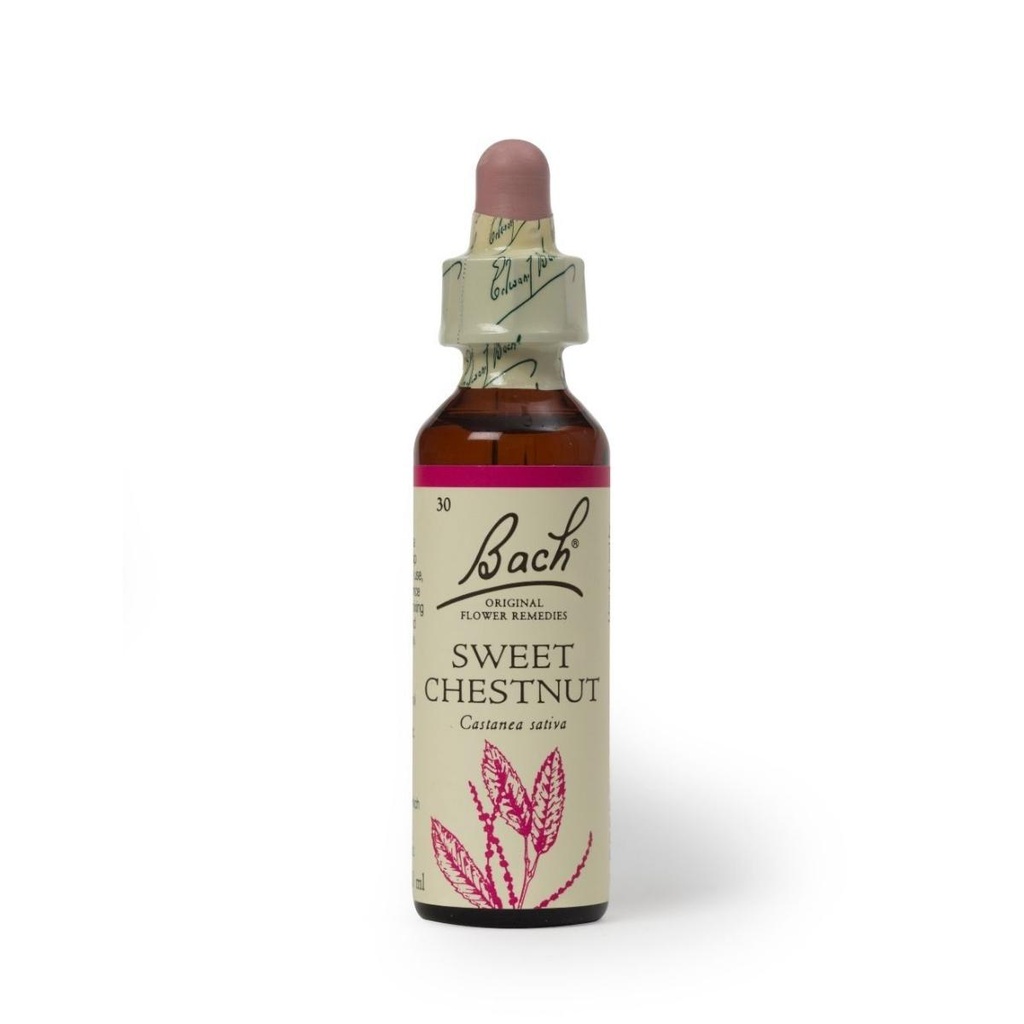 Hana Sweet Chestnut 20ml