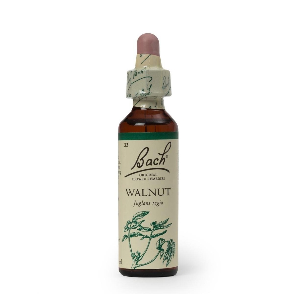 Hana Walnut 20ml