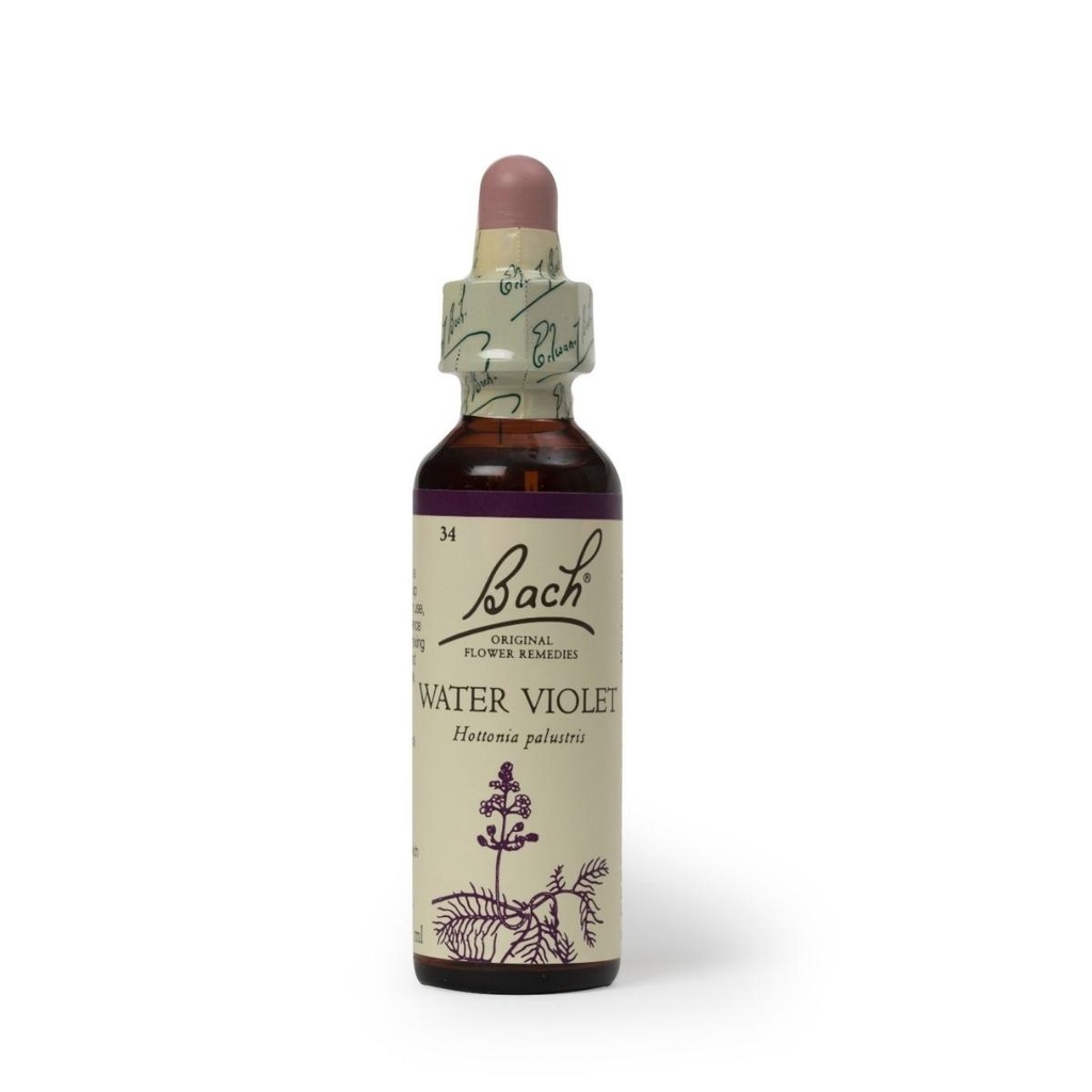 Hana Water Violet 20ml