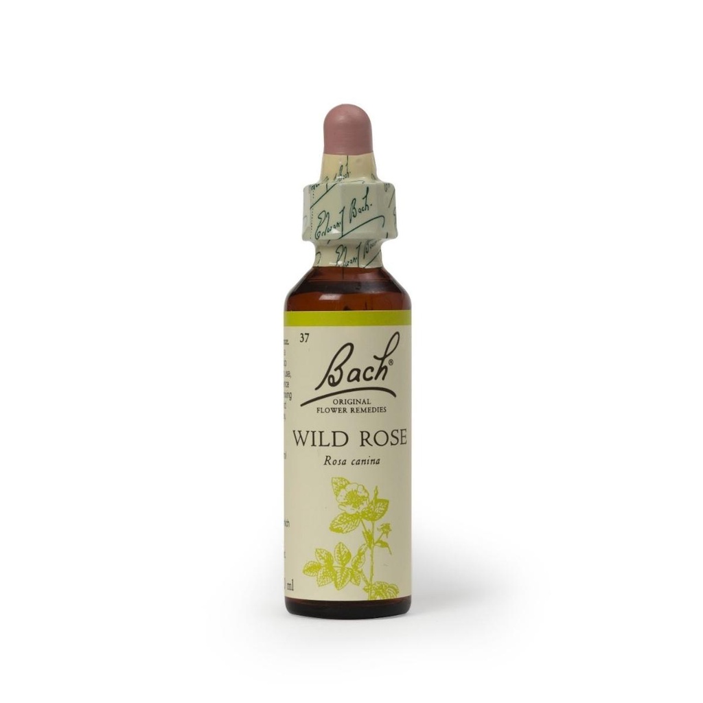 Hana Wild Rose 20ml