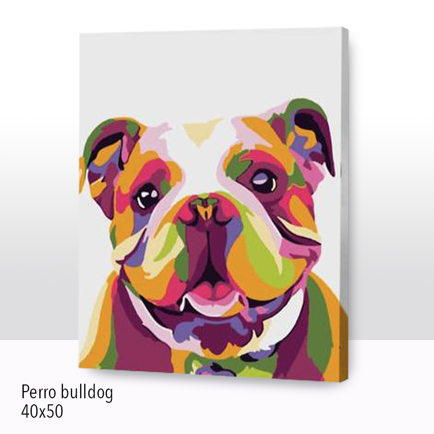 Uchiselection Kit Paint Chico
