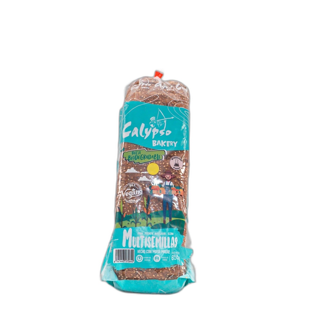 Chuncho Pan Molde Multisemillas 655 gr