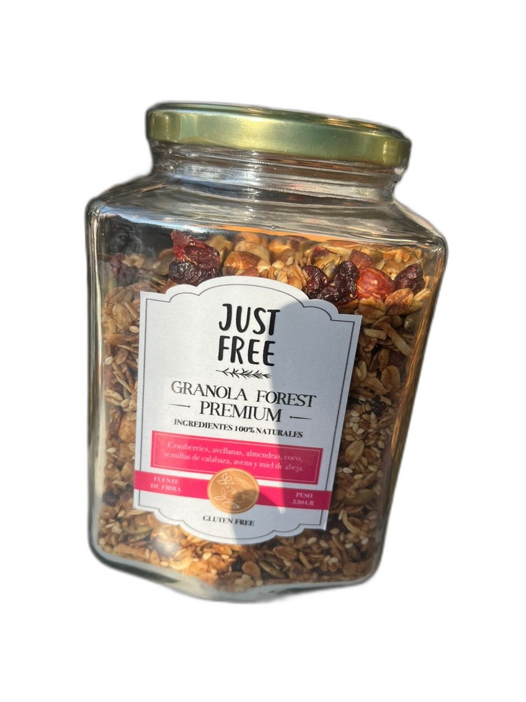 Just Free Granola Forest 530 gr