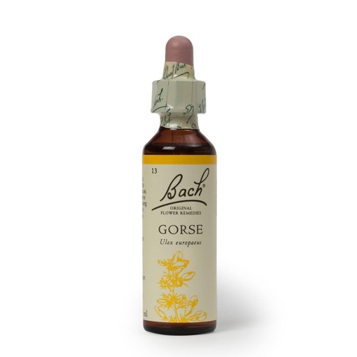 [5000488103137] Hana Gorse 20ml
