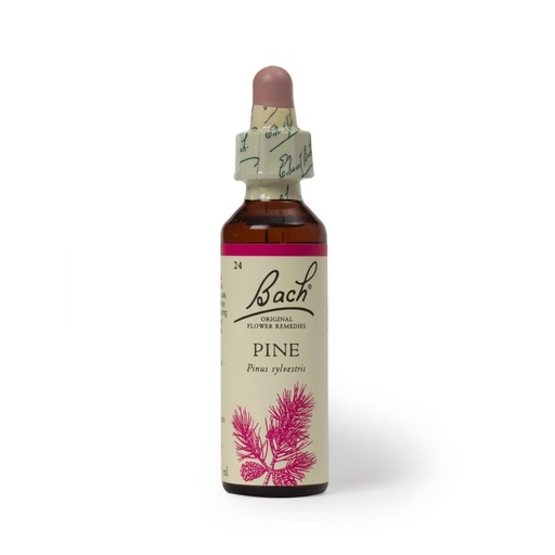 [5000488103243] Hana Pine 20ml