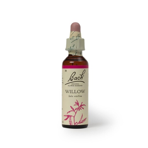 [5000488103380] Hana Willow 20ml